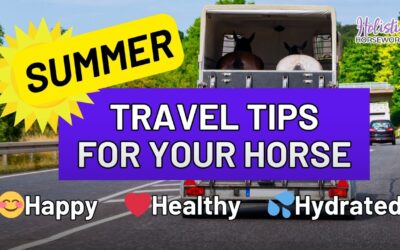 Summer Travel Tips for Your Horse: Keep Them Happy, Healthy, & Hydrated