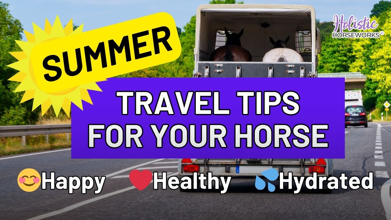 summer travel tips for your horse