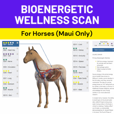 Bioenergetic Wellness Scan for Horses (Maui Only)
