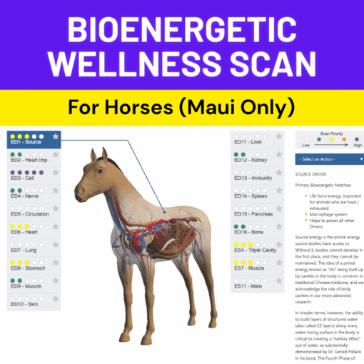 Bioenergetic Wellness Scan for Horses (Maui Only)