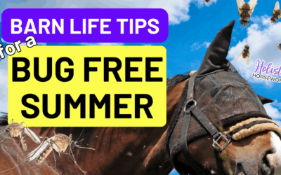 Barn Life Tips for a Bug Free Summer