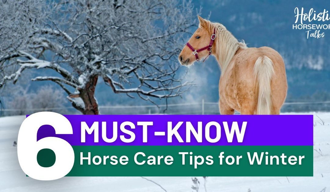 6 Must-Know Hore Care Tips for Winter