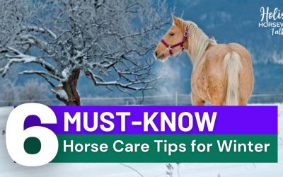 6 Must-Know Hore Care Tips for Winter