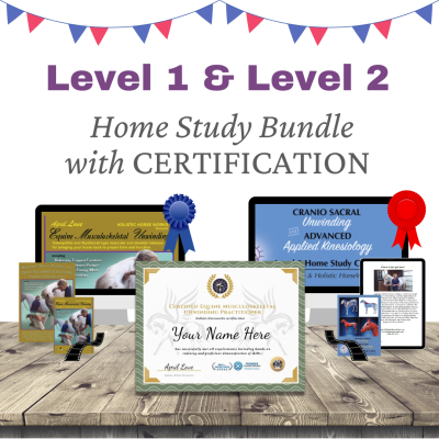 Level 1 & Level 2 Home Study Bundle with Certification Enrollment [NO DVD]