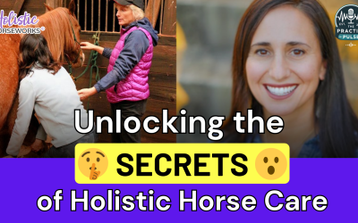 Unlocking the Secrets of Holistic Horse Care: Insights from the Equine Musculoskeletal Program