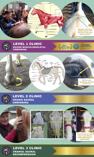 Vacaville, California | October 9th - 17th 2026 | Level 1, 2 and 3 Trainings w/ April Love (Deposit only)