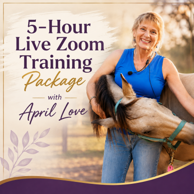 5-Hour Live Zoom Training Package with April Love