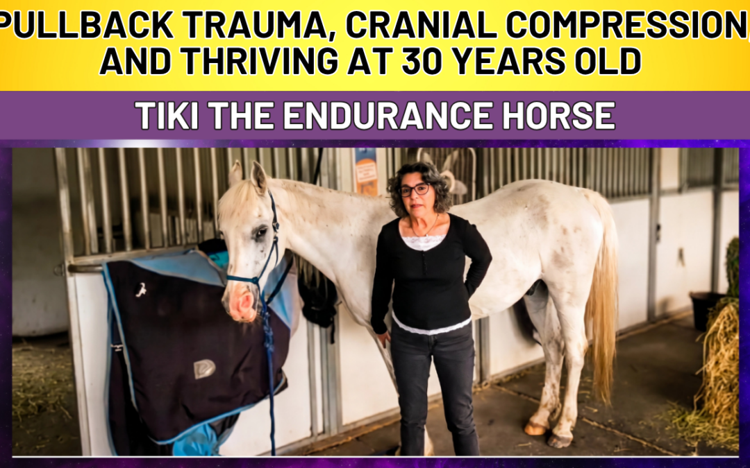 HOW TO KEEP YOUR HORSE SOUND FOR LIFE