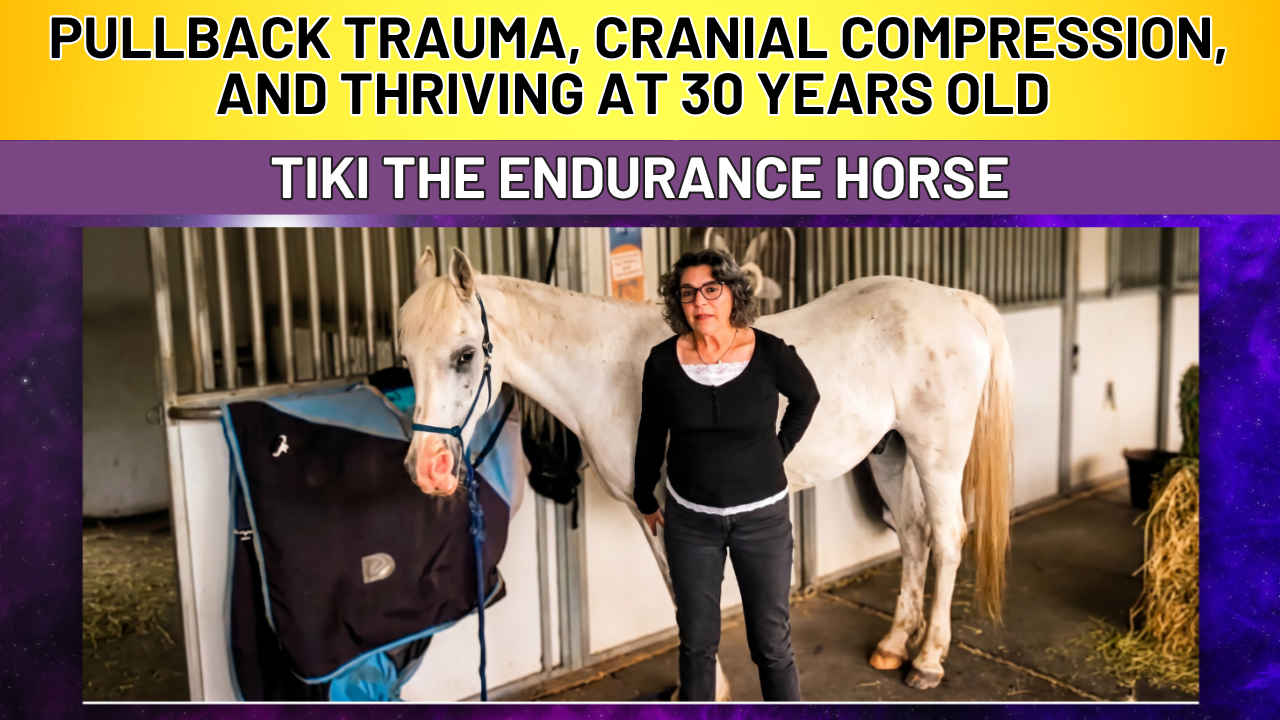HOW TO KEEP YOUR HORSE SOUND FOR LIFE