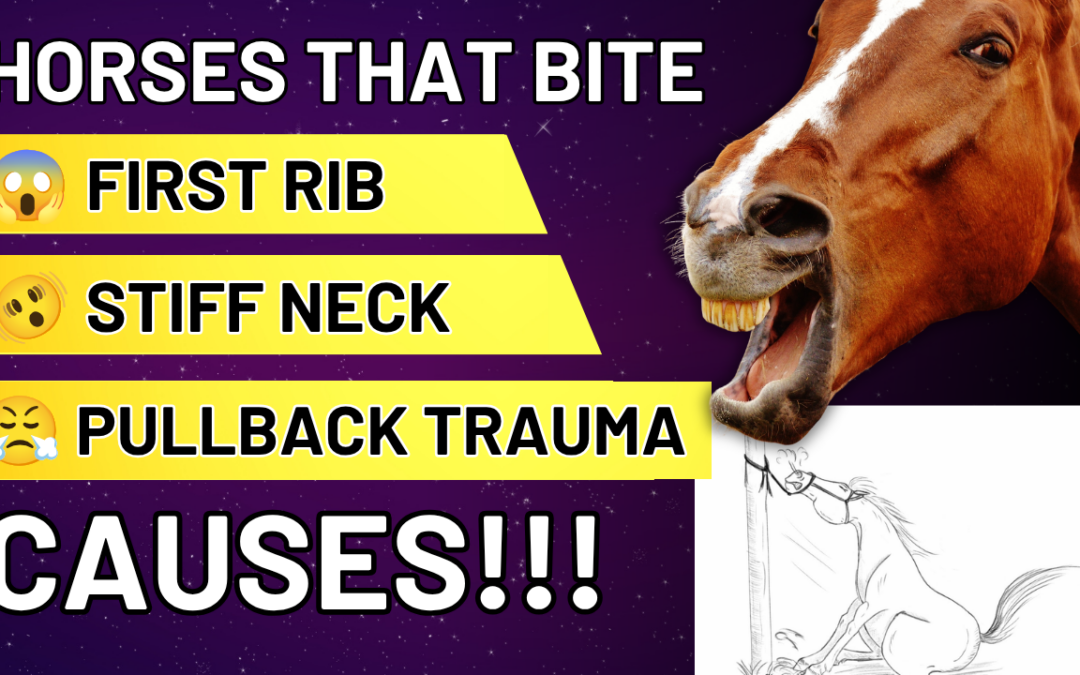 April Love evaluating horse neck stiffness and first rib imbalance