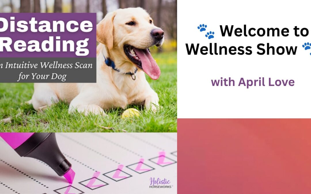 What could your dog’s itching, allergies, vision problems, stiff joints, or changes in movement be telling you about their overall health?